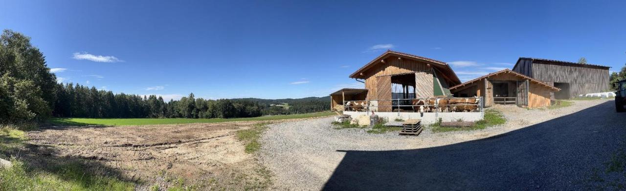 Landgasthof Blasini - Pfahlhof Zandt Extérieur photo